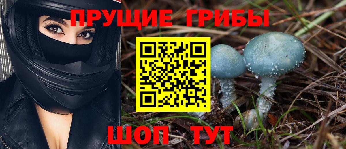 Узловая  Галлюциногенные грибы Cubensis  Вход с VPN 