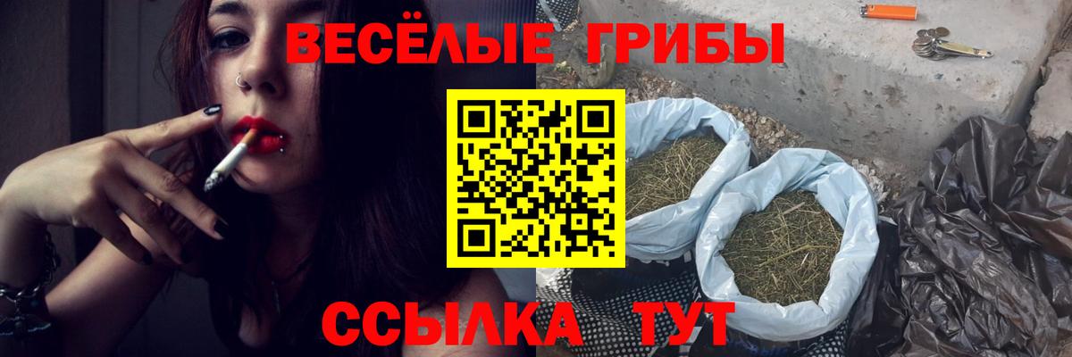 Галлюциногенные грибы мухоморы Узловая